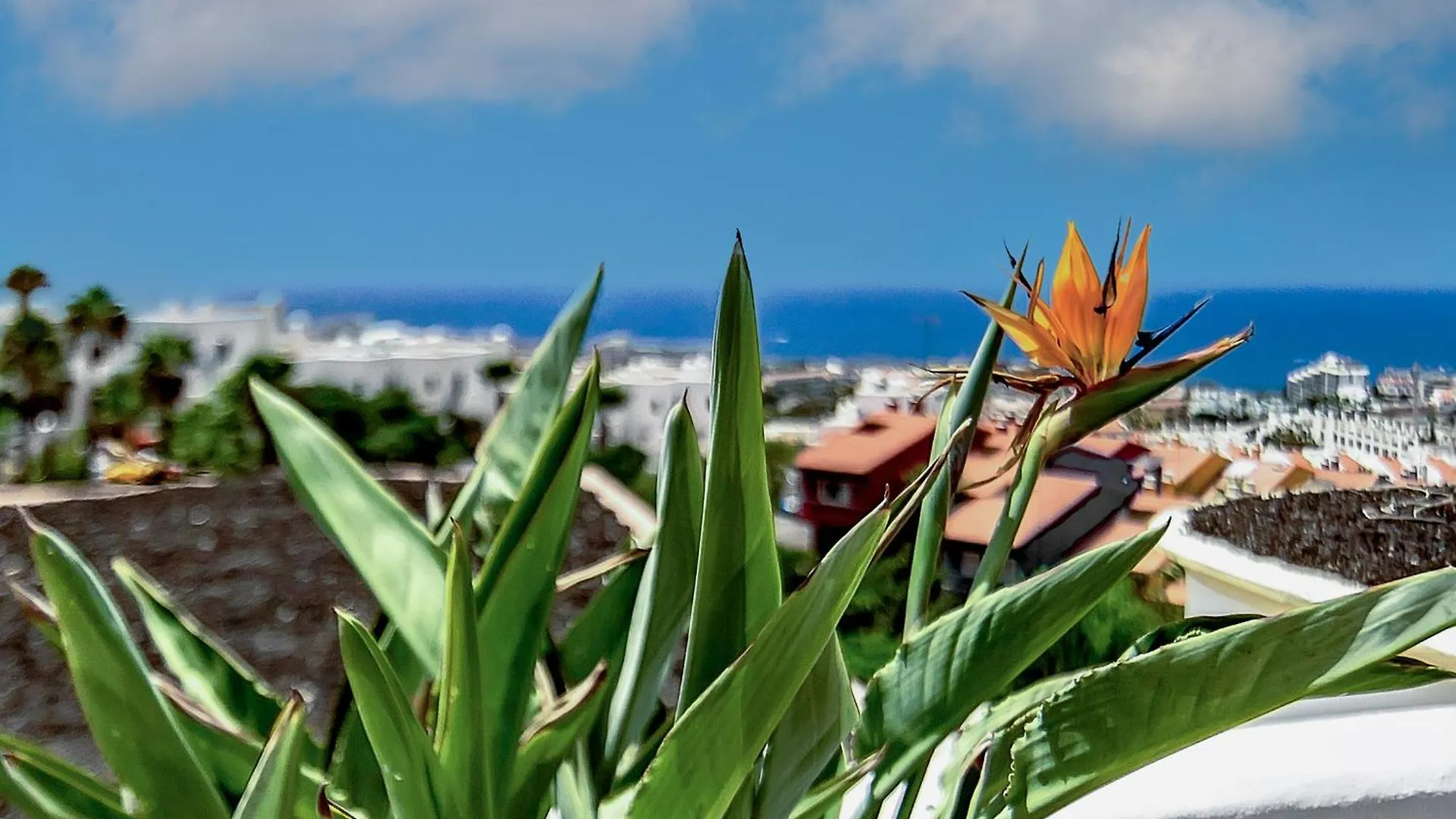 Villa Las Mimosas 아데제